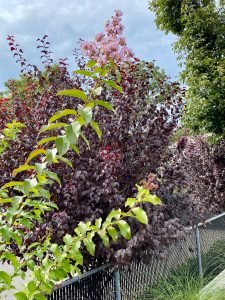 51a74092-62c5-463b-87c4-b4668eb0e0ac